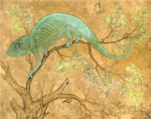 Mansur, A Chameleon, Mughal, Jehangir Period, c. 1600 Collection: Royal Library, Windsor Castle